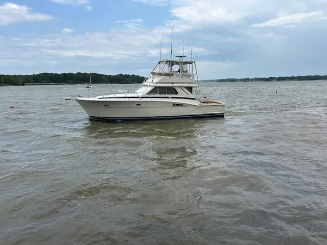 The Image of Chris-Craft 42 Tournament Fisherman 1987 - 0