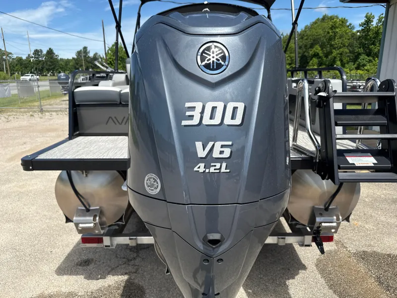 Slide: The Image of Avalon LSZ VRB25T 2025 - 10