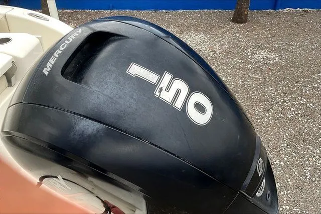 Slide: The Image of Cobia 220 2022 - 26