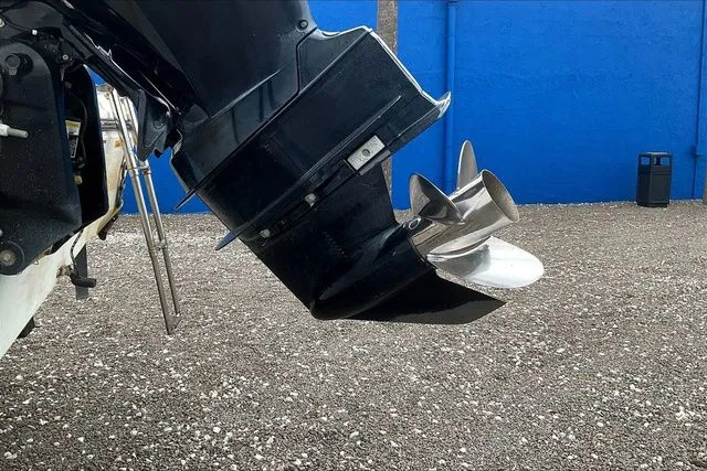 Slide: The Image of Cobia 220 2022 - 28