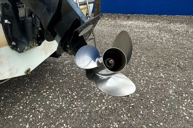 Slide: The Image of Cobia 220 2022 - 29