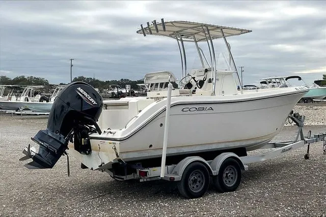 Slide: The Image of Cobia 220 2022 - 6