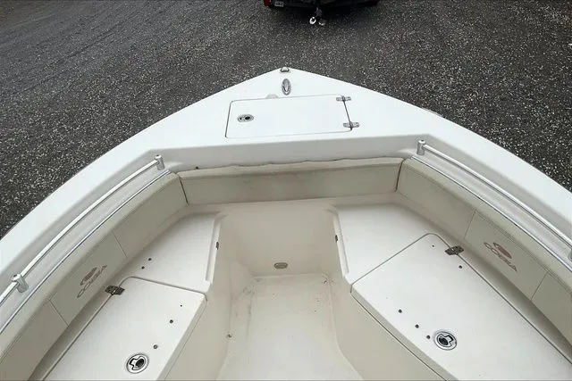 Slide: The Image of Cobia 220 2022 - 8