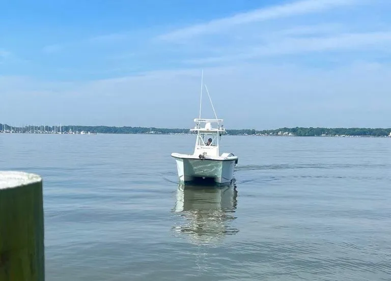 Slide: The Image of 2015 AmeraCat 27 boat on calm water under clear blue sky. - 7