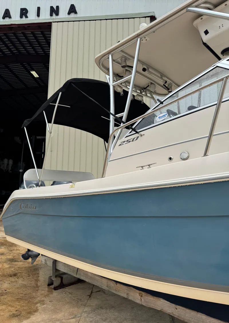 Slide: The Image of Cobia 250WA 2007 - 2