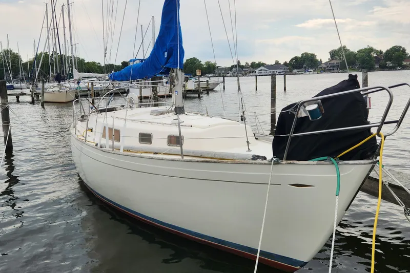 Slide: The Image of 1974 Hallberg-Rassy Rasmus 35 sailboat docked in a marina with blue sail cover. - 3