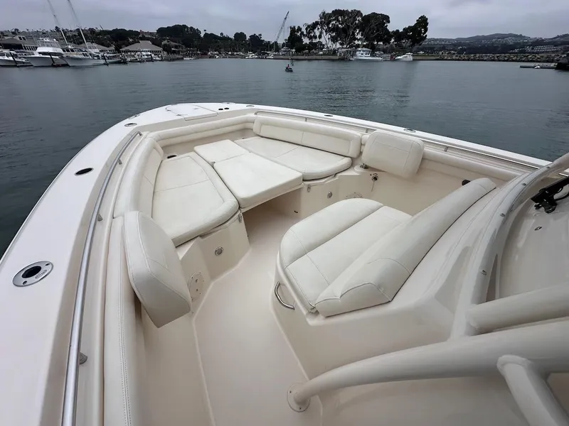 Slide: The Image of Grady-White Canyon 336 2019 - 10