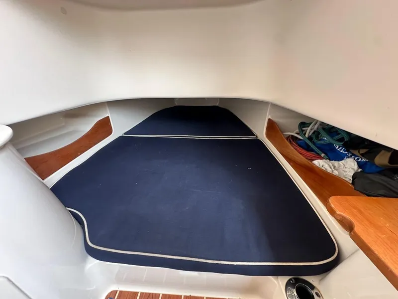 Slide: The Image of Grady-White Canyon 336 2019 - 23