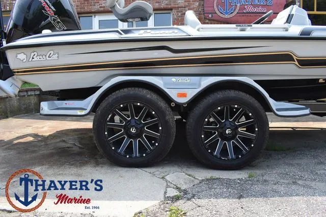 Slide: The Image of Bass Cat Puma STS 2025 - 6