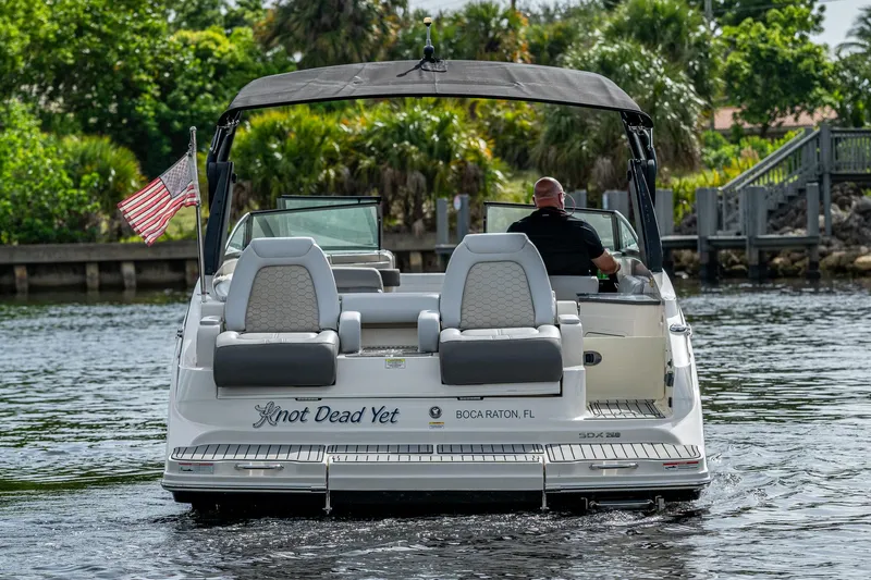 Slide: The Image of 2022 Sea Ray SDX 290 boat cruising on a scenic waterway with lush greenery. - 3