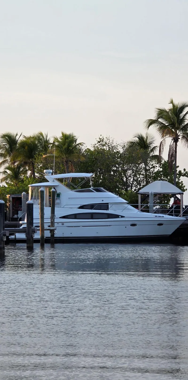 The Image of 2000 Carver 396 Motor Yacht docked by palm trees. - 0