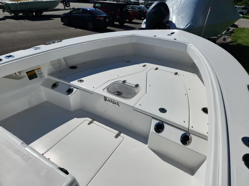 Slide: The Image of 2025 BlackJack 256 Coastal boat interior with spacious deck and storage compartments. - 11