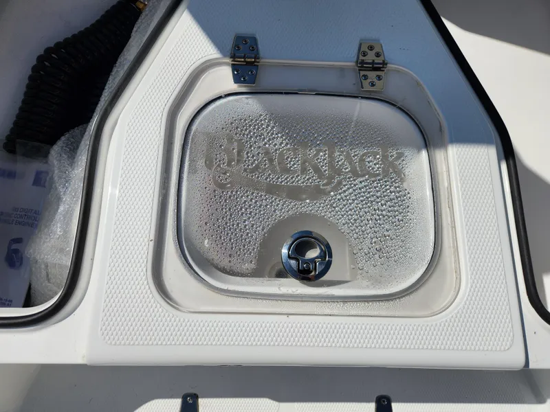 Slide: The Image of 2025 BlackJack 256 Coastal boat compartment with embossed logo and latch. - 12