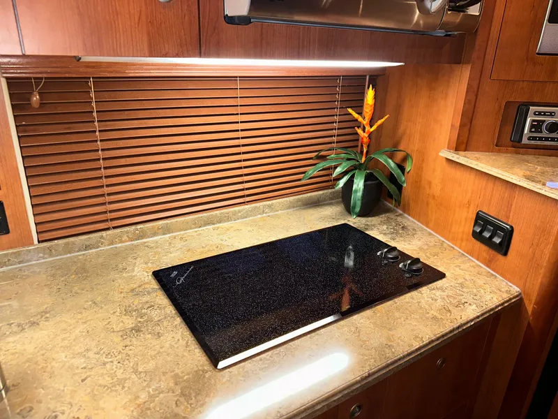 Slide: The Image of 2009 Cruisers Yachts 360 Express kitchen with sleek cooktop, wooden blinds, and decorative plant. - 46