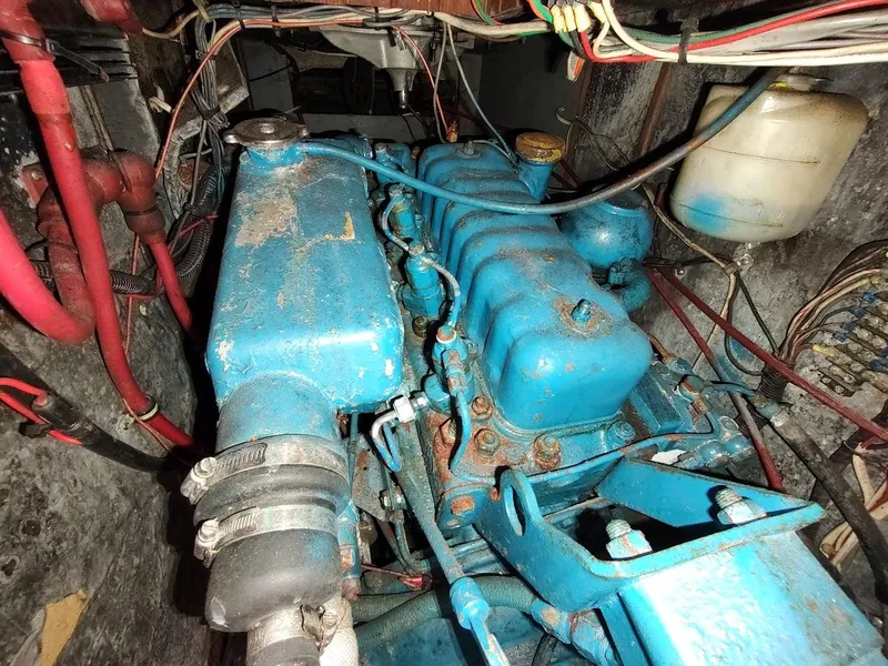 Slide: The Image of Ta Shing Tatoosh 42 1982 - 129