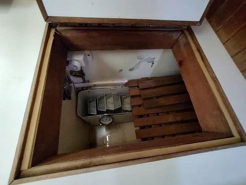 Slide: The Image of Ta Shing Tatoosh 42 1982 - 57