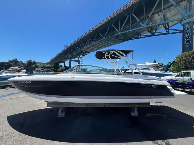 The Image of Cobalt 272 2007 - 1