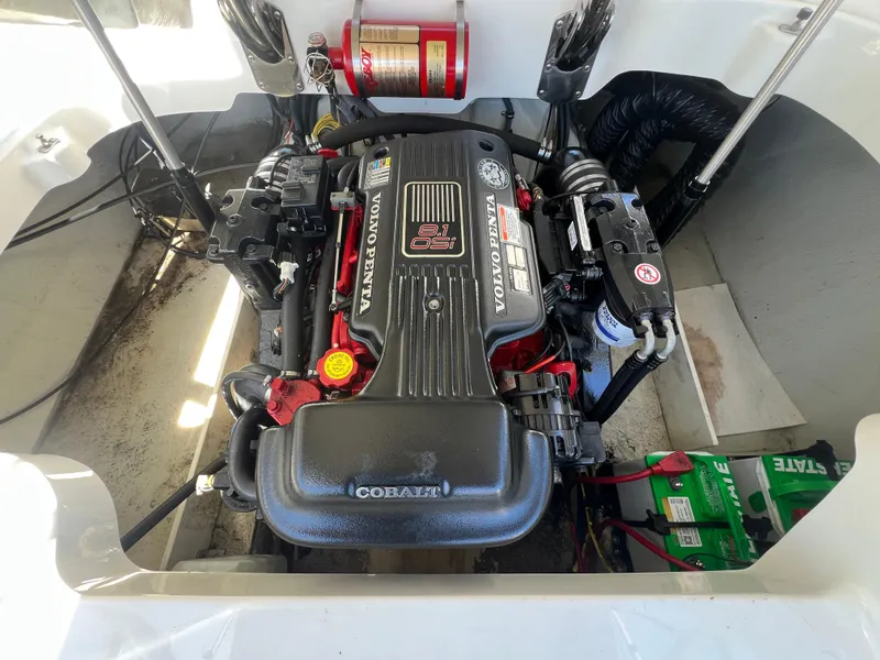 Slide: The Image of Cobalt 272 2007 - 19