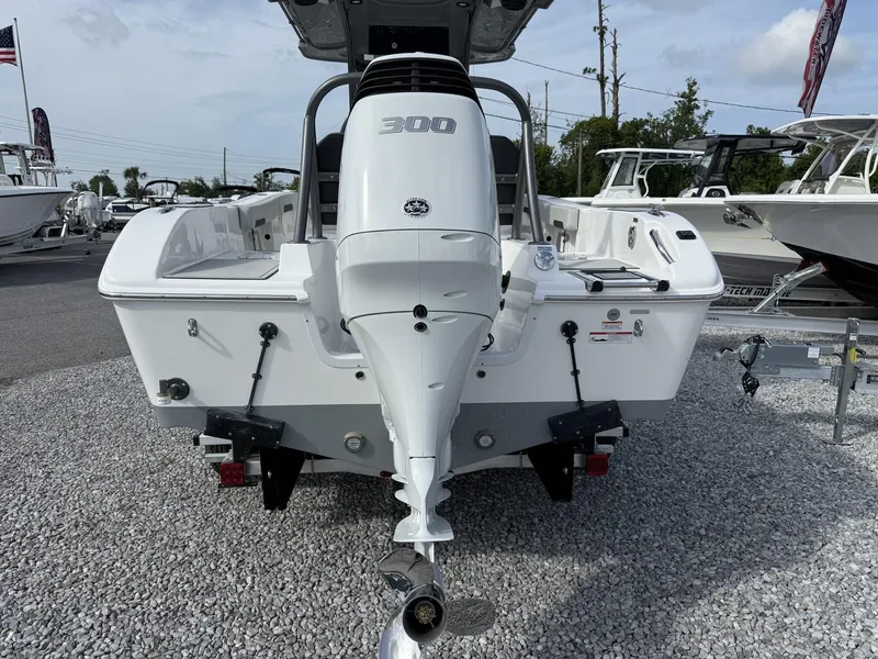 Slide: The Image of Sea Pro 245 245 SANDBAR 2025 - 3