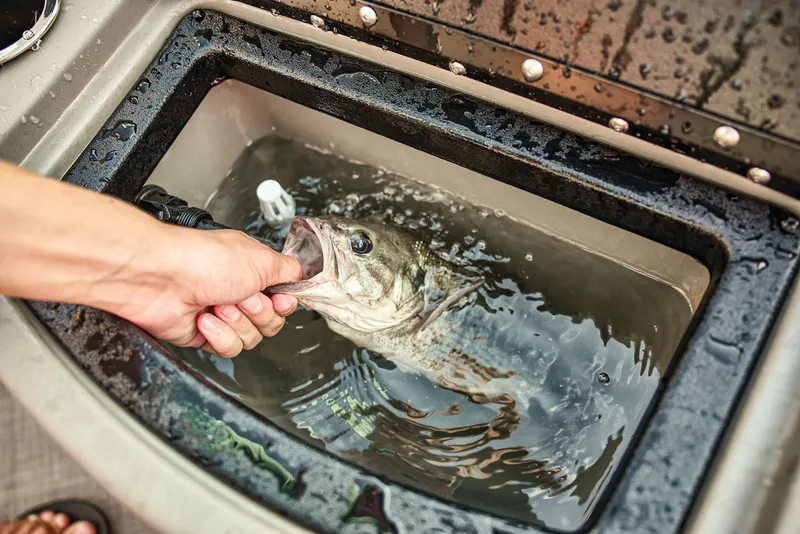 Slide: The Image of Sun Tracker SportFish 20 DLX 2025 - 78