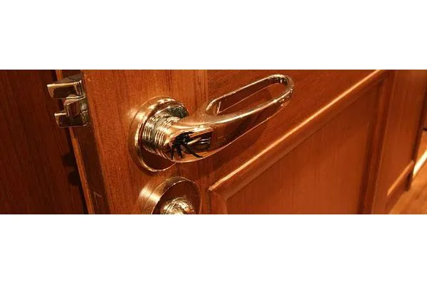 Slide: The Image of Manufacturer Provided Image: Detail - 40