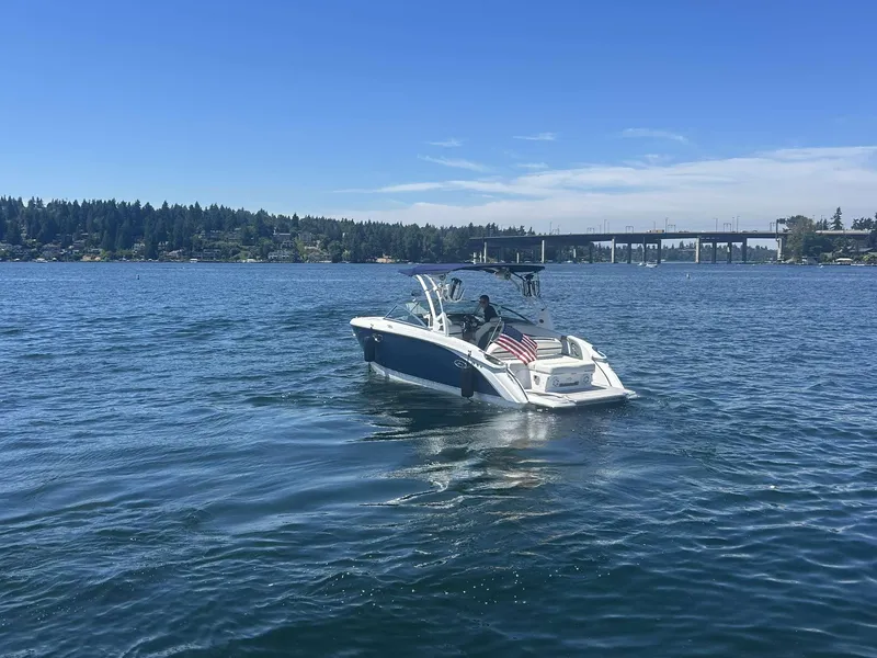 Slide: The Image of Cobalt R7 Surf 2019 - 6