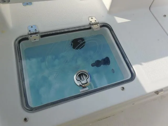 Slide: The Image of Sailfish 232 CC 2025 - 26