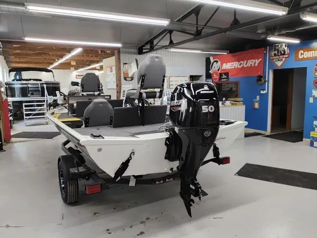 Slide: The Image of Lowe Stinger 175C 2025 - 8