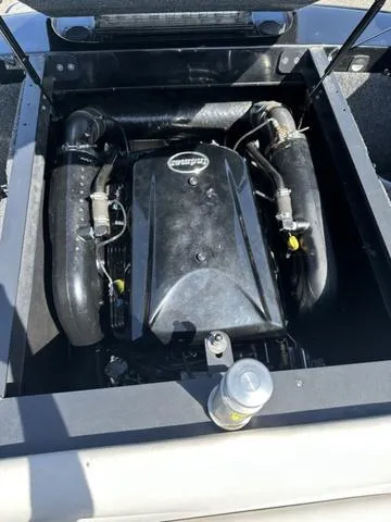 Slide: The Image of Sanger V215 2013 - 12