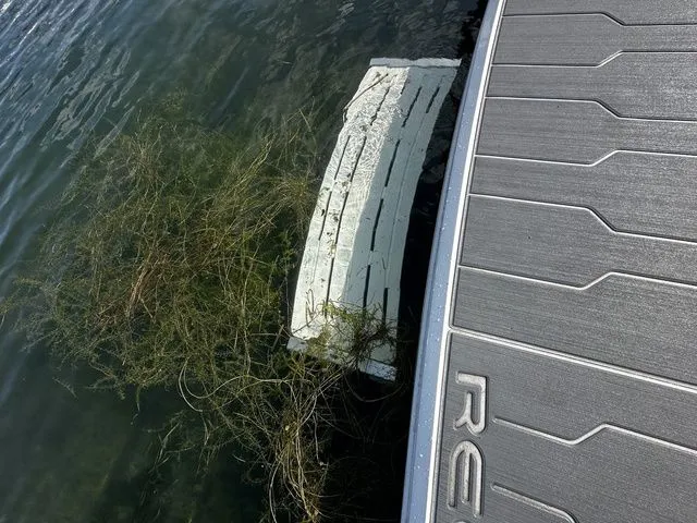 Slide: The Image of Regal 3300 2022 - 14