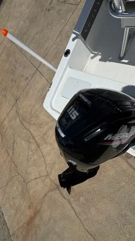 Slide: The Image of Savannah 190IS 2025 - 5