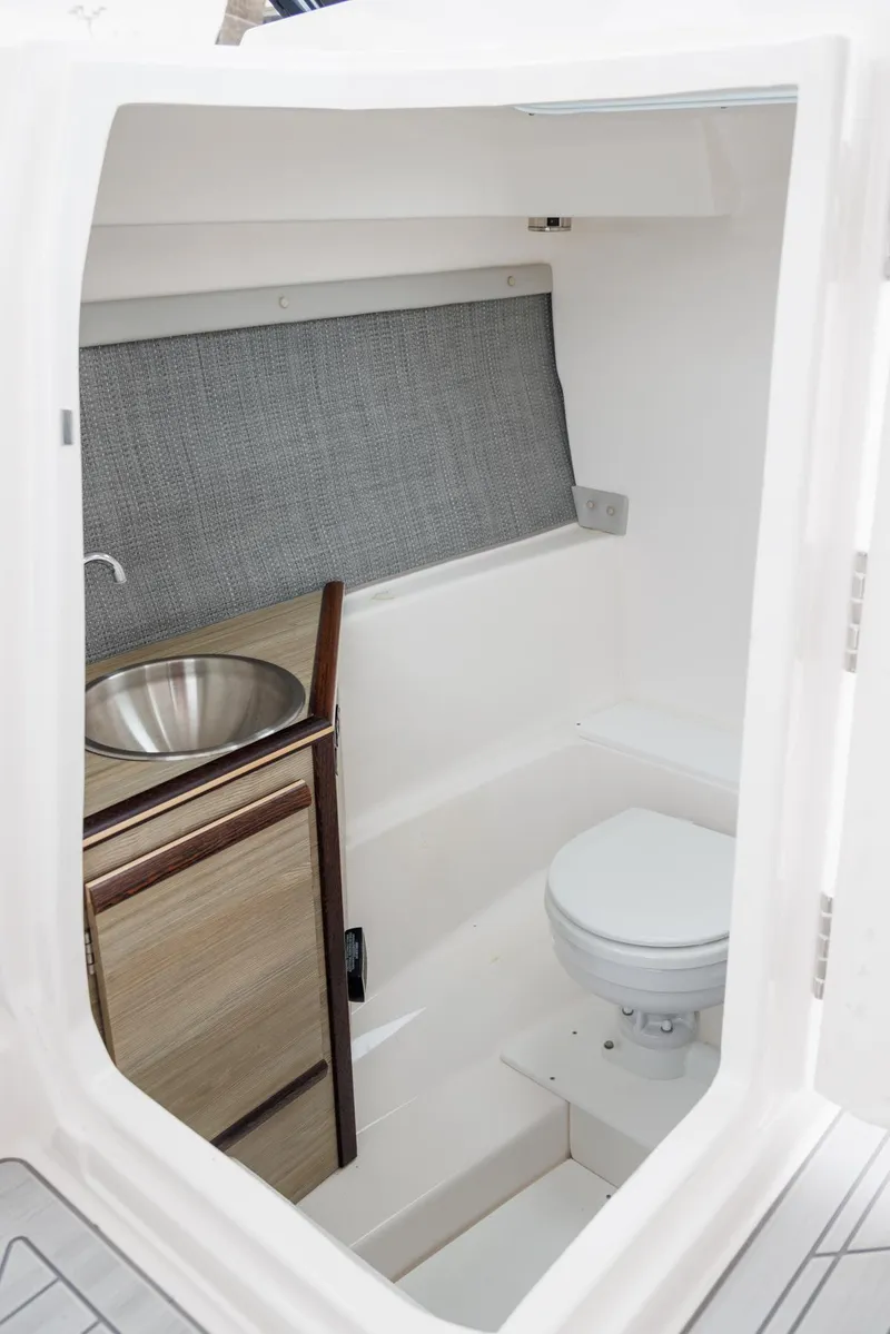 Slide: The Image of 2026 Solara S-250 DC boat interior with compact bathroom, featuring sink and toilet. - 20