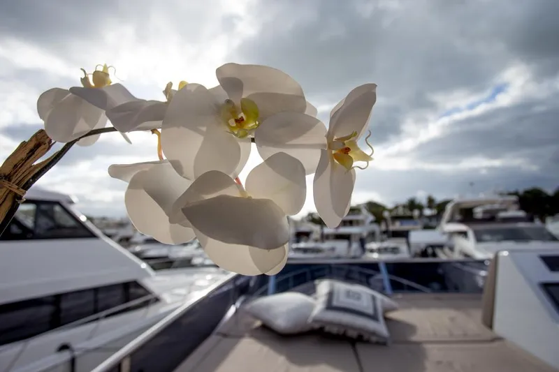 Slide: The Image of Mazarin 72 Sport Fly 2015 - 27