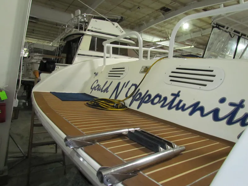 Slide: The Image of Todomar 36 CC 2003 - 2