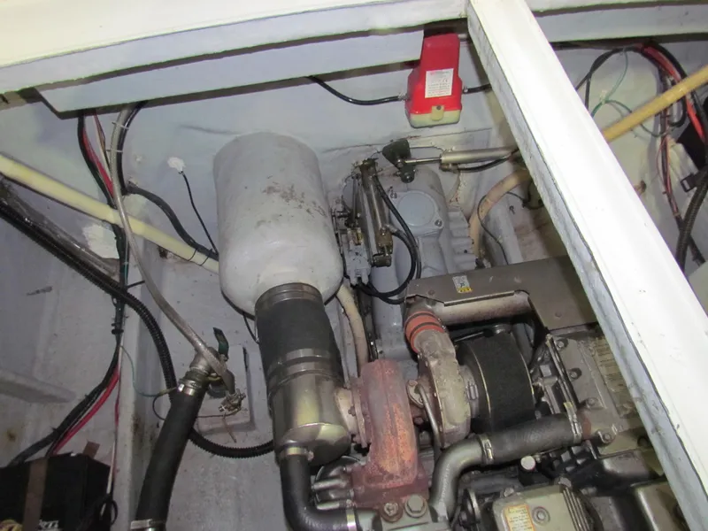 Slide: The Image of Todomar 36 CC 2003 - 44