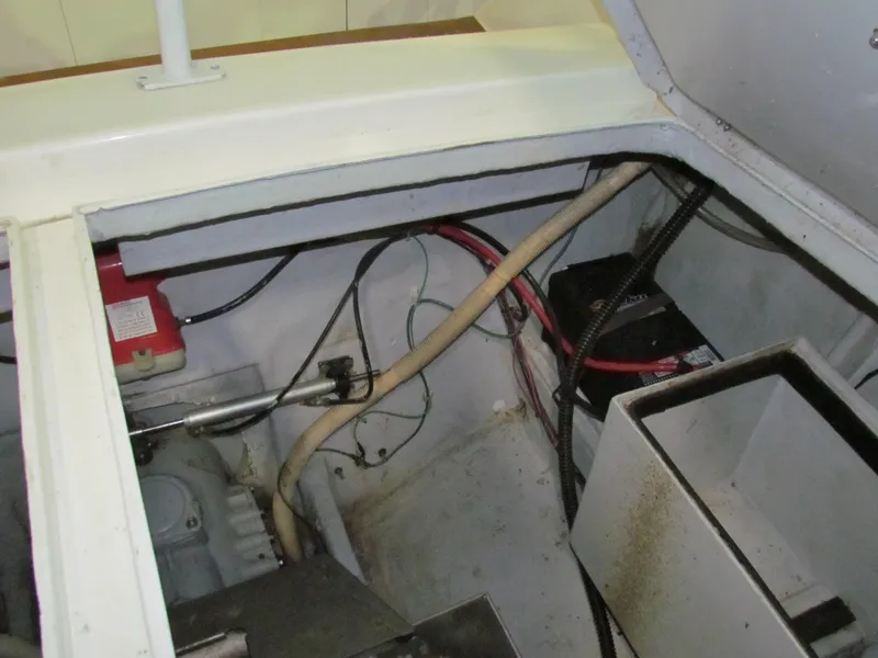 Slide: The Image of Todomar 36 CC 2003 - 45