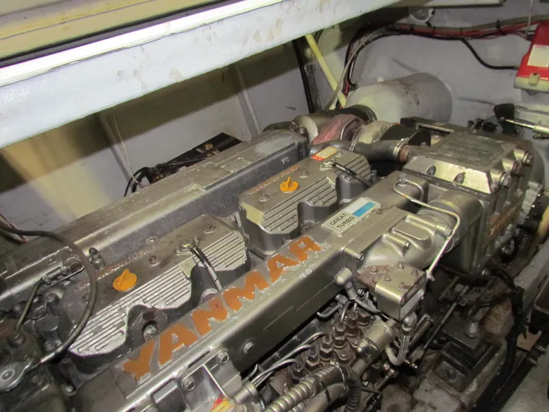 Slide: The Image of Todomar 36 CC 2003 - 48