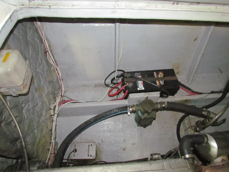 Slide: The Image of Todomar 36 CC 2003 - 50