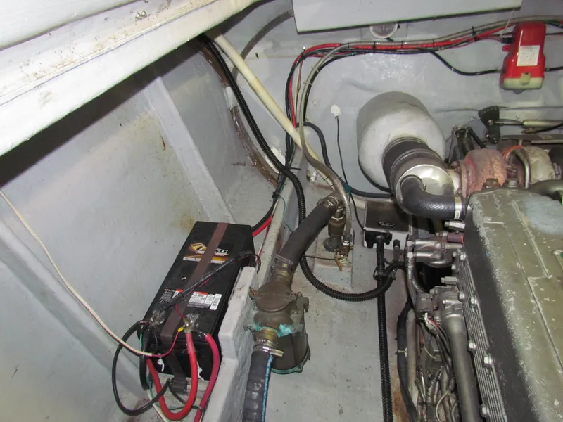 Slide: The Image of Todomar 36 CC 2003 - 51