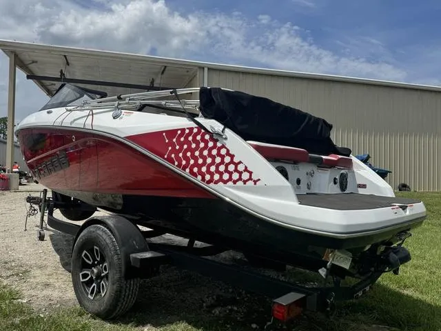 Slide: The Image of Scarab 195 ID 2023 - 5