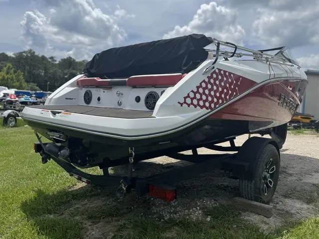 Slide: The Image of Scarab 195 ID 2023 - 7