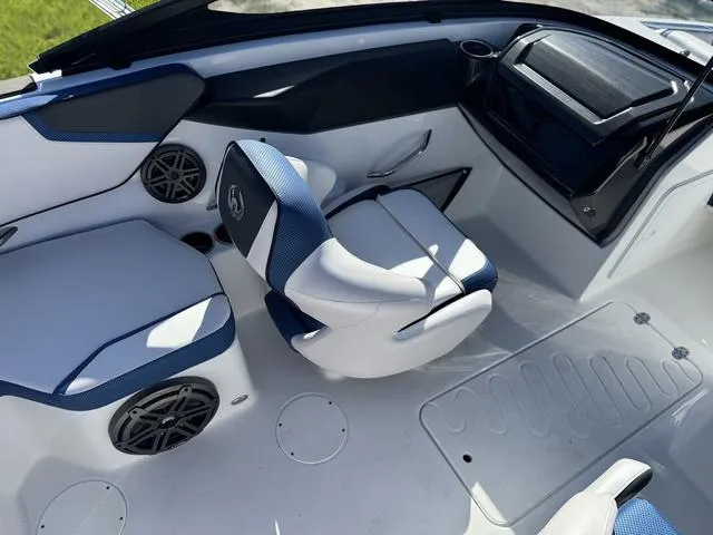 Slide: The Image of Scarab 195 ID 2024 - 12