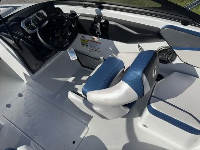 Slide: The Image of Scarab 195 ID 2024 - 13