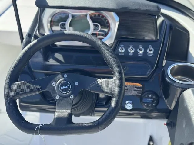 Slide: The Image of Scarab 195 ID 2024 - 15