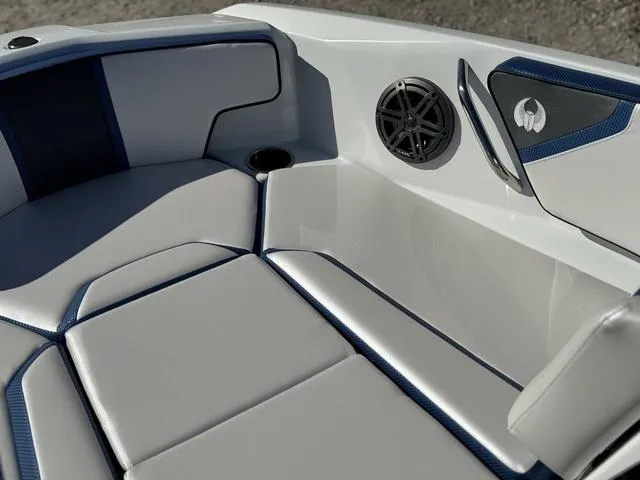 Slide: The Image of Scarab 195 ID 2024 - 20