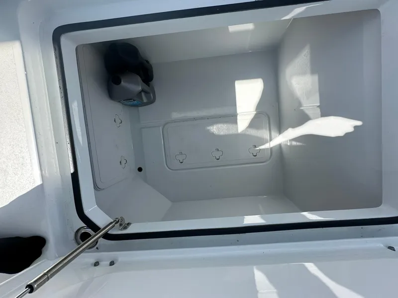 Slide: The Image of Freeman 47 2022 - 73