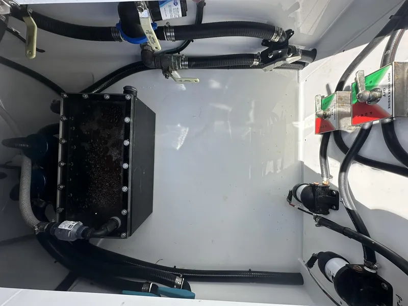 Slide: The Image of Freeman 47 2022 - 74