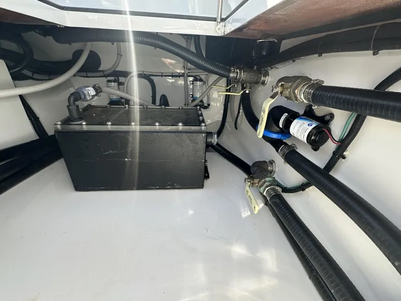 Slide: The Image of Freeman 47 2022 - 75