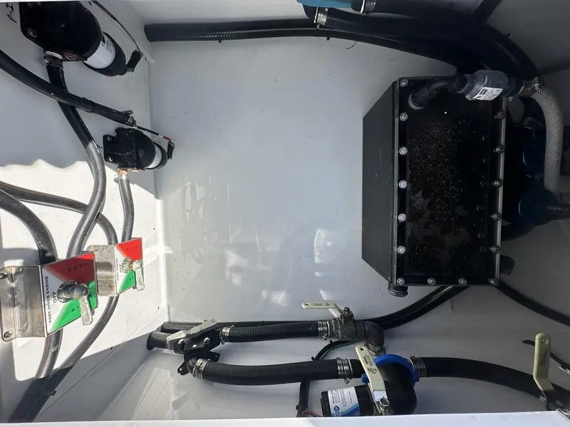 Slide: The Image of Freeman 47 2022 - 76