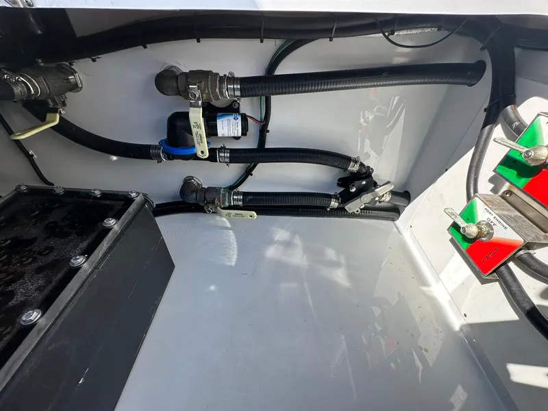 Slide: The Image of Freeman 47 2022 - 77